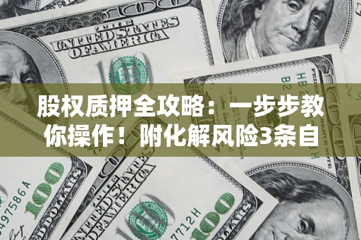 北京股权质押全攻略：一步步教你操作！附化解风险3条自救法则