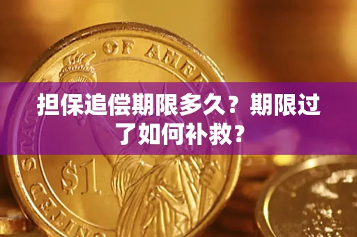 北京担保追偿期限多久？期限过了如何补救？