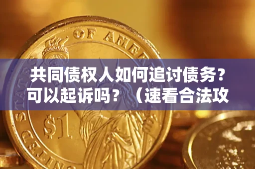 北京共同债权人如何追讨债务？可以起诉吗？（速看合法攻略）
